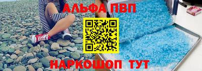 спиды Кингисепп