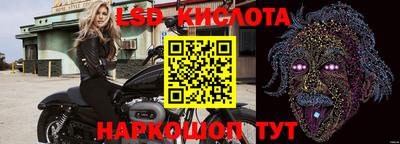 СК Кимры