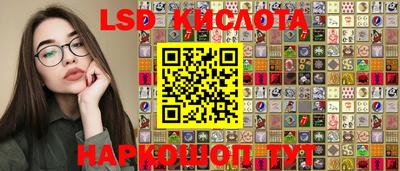 СК Кимры