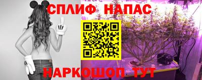 СК Кимры