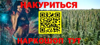 спиды Кингисепп