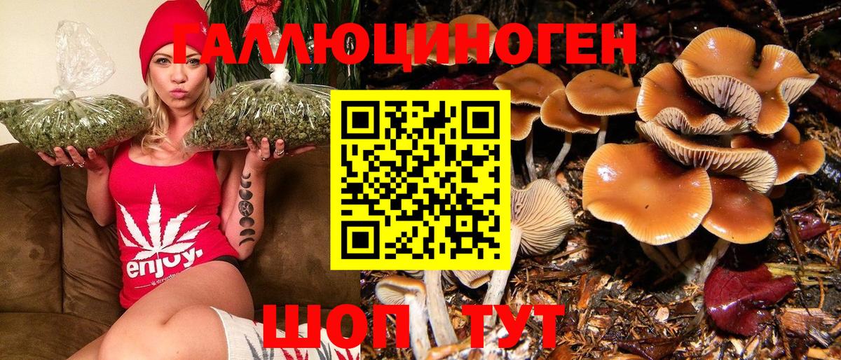 хочу   Псилоцибиновые грибы Cubensis  Галлюциногенные грибы мухоморы  Вход с VPN  Кимовск 