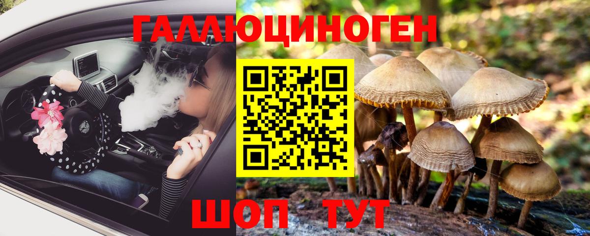 Псилоцибиновые грибы GOLDEN TEACHER Кимовск